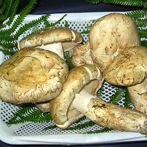 ♡北海道産：松茸6本：322g♡ ◇北海道産松茸◇280g - メルカリ